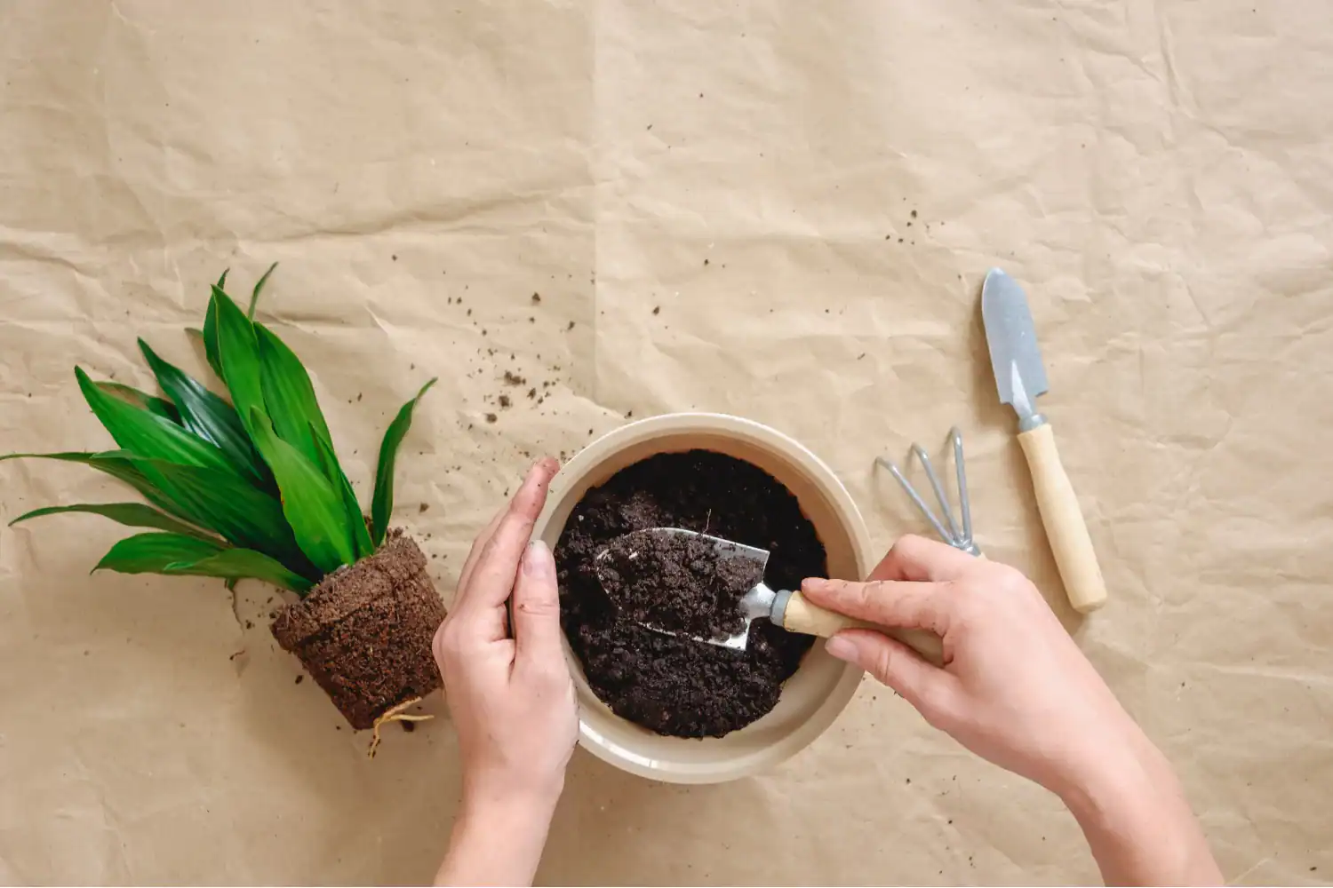 Hands preparing soil in a pot with a green plant nearby, symbolizing church planting.