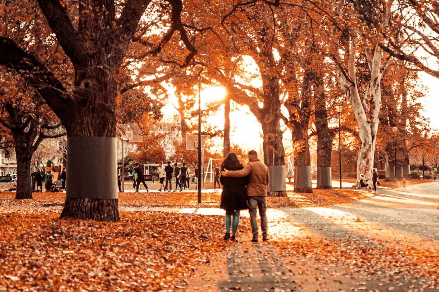 Husband and wife walking through fall foliage