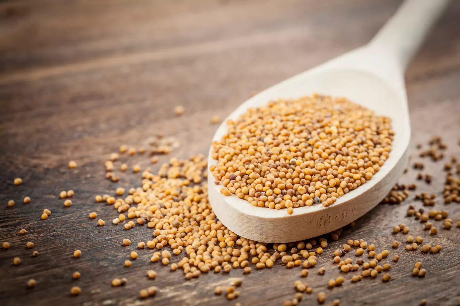 Spoonful of seeds sitting on a table
