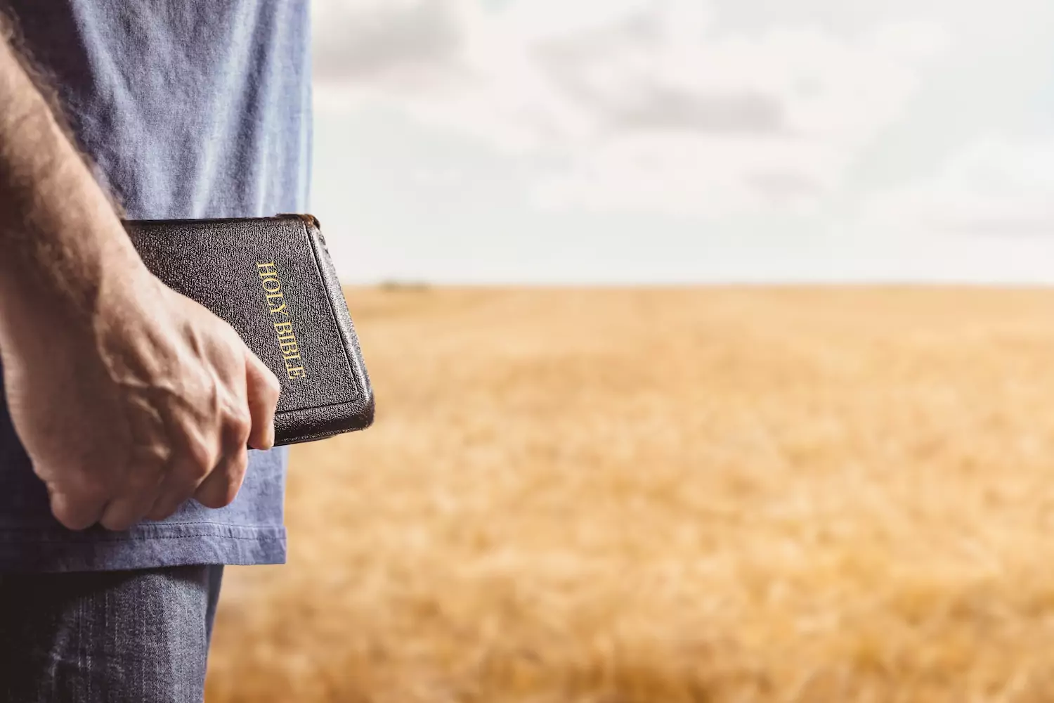 Man standing in a golden field holding a bible