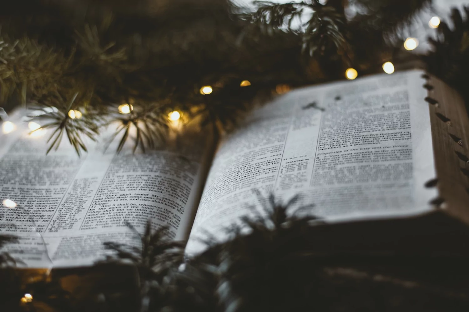 an open Bible nestled among garland and Christmas lights