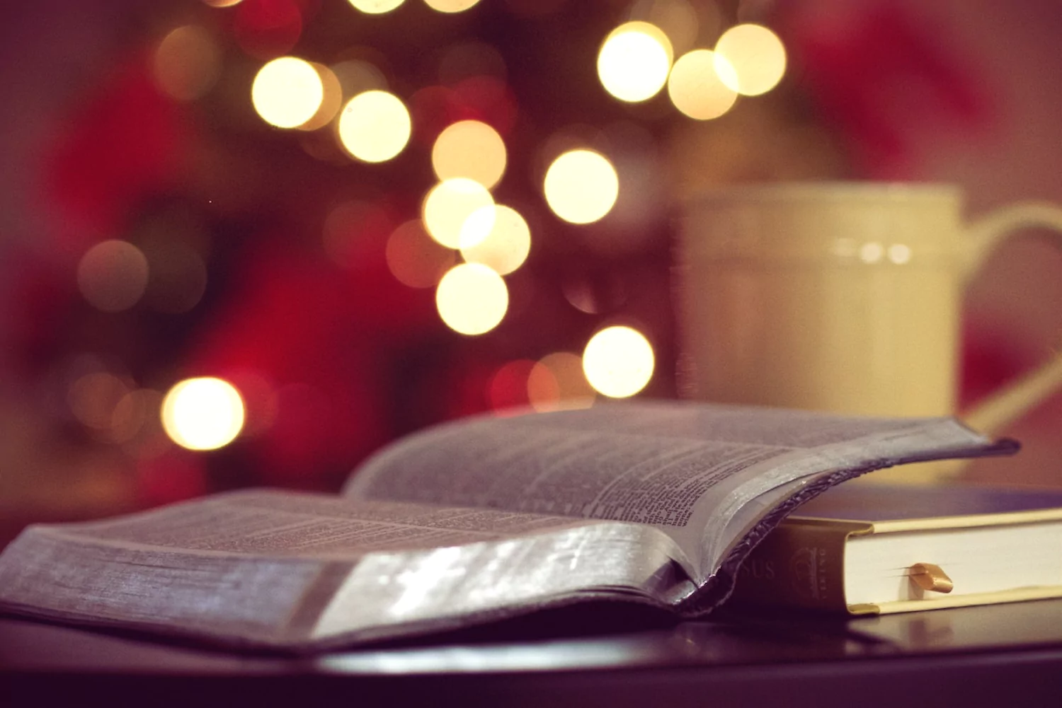 an open bible and a coffee mug on a table in front of the Christmas tree