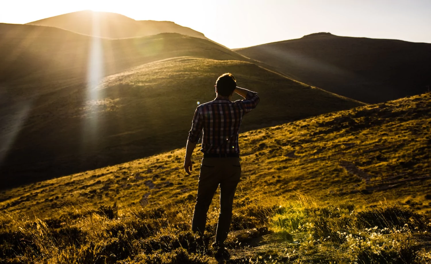 a man looks out across rolling hills at sunset