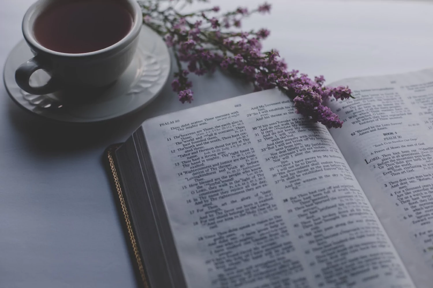 an open Bible on a table next to a tea cup and lavender sprig