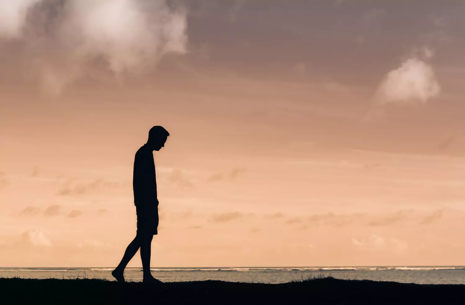 a suffering pastor walks in a field at dusk