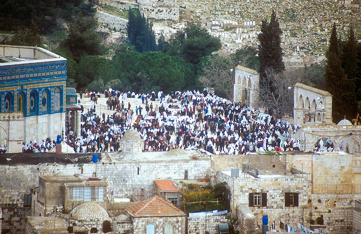 Temple mount