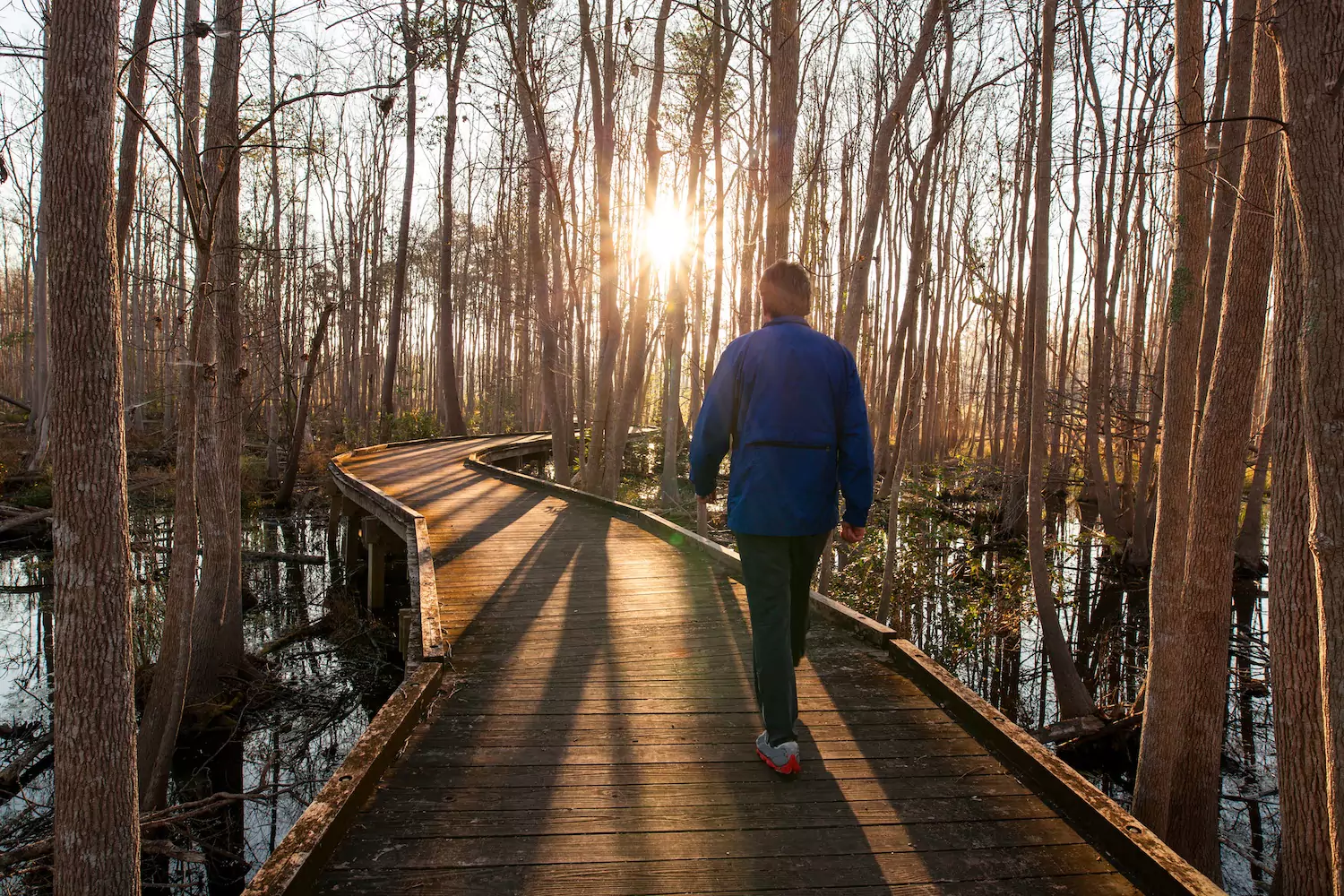 A man dealing with anxiety walks through a forest on a wooden bridge.