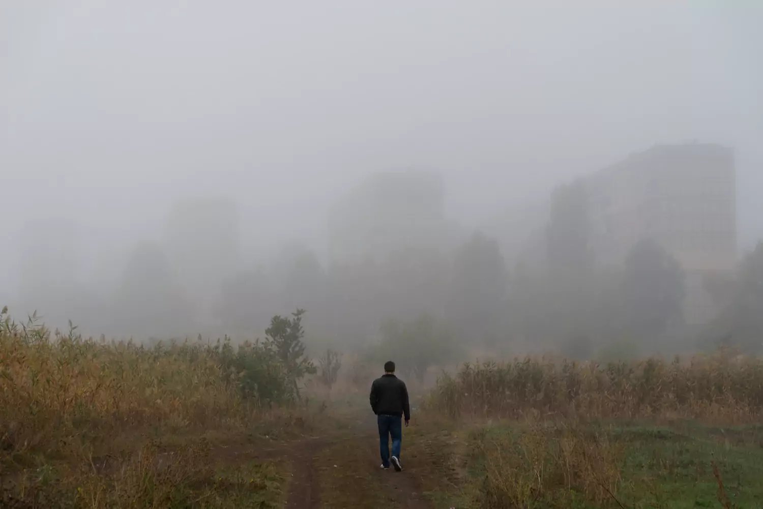 A pastor walks through the fog.