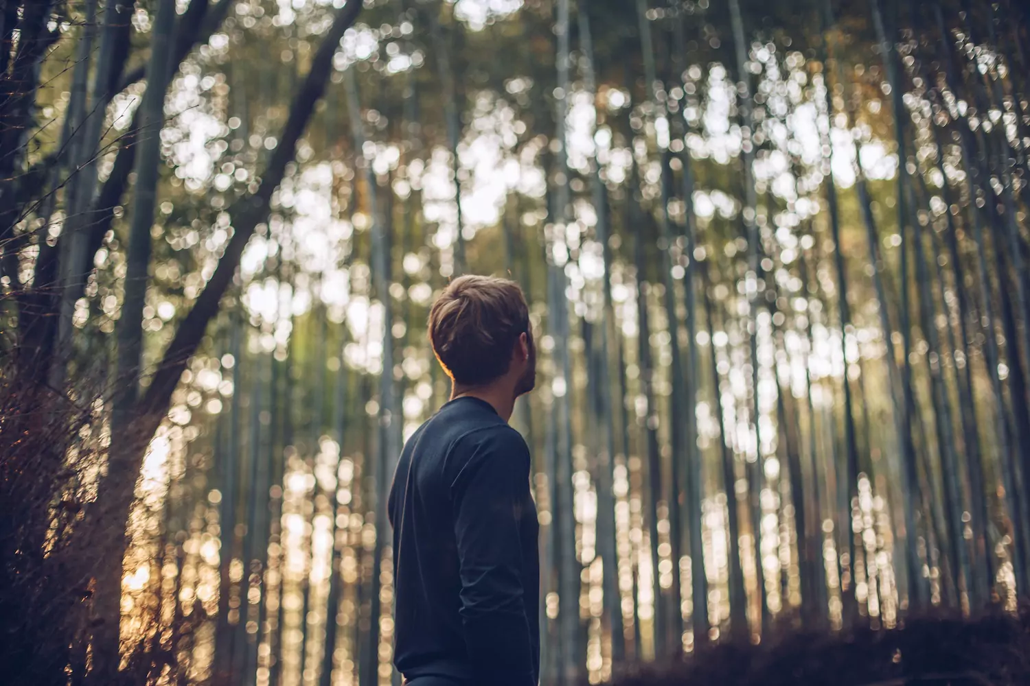 A pastor takes a walk in the forest considering criticism.
