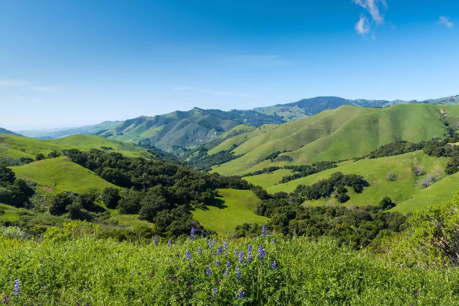 Lush green mountain landscape, symbolizing peace - the result of conflict management