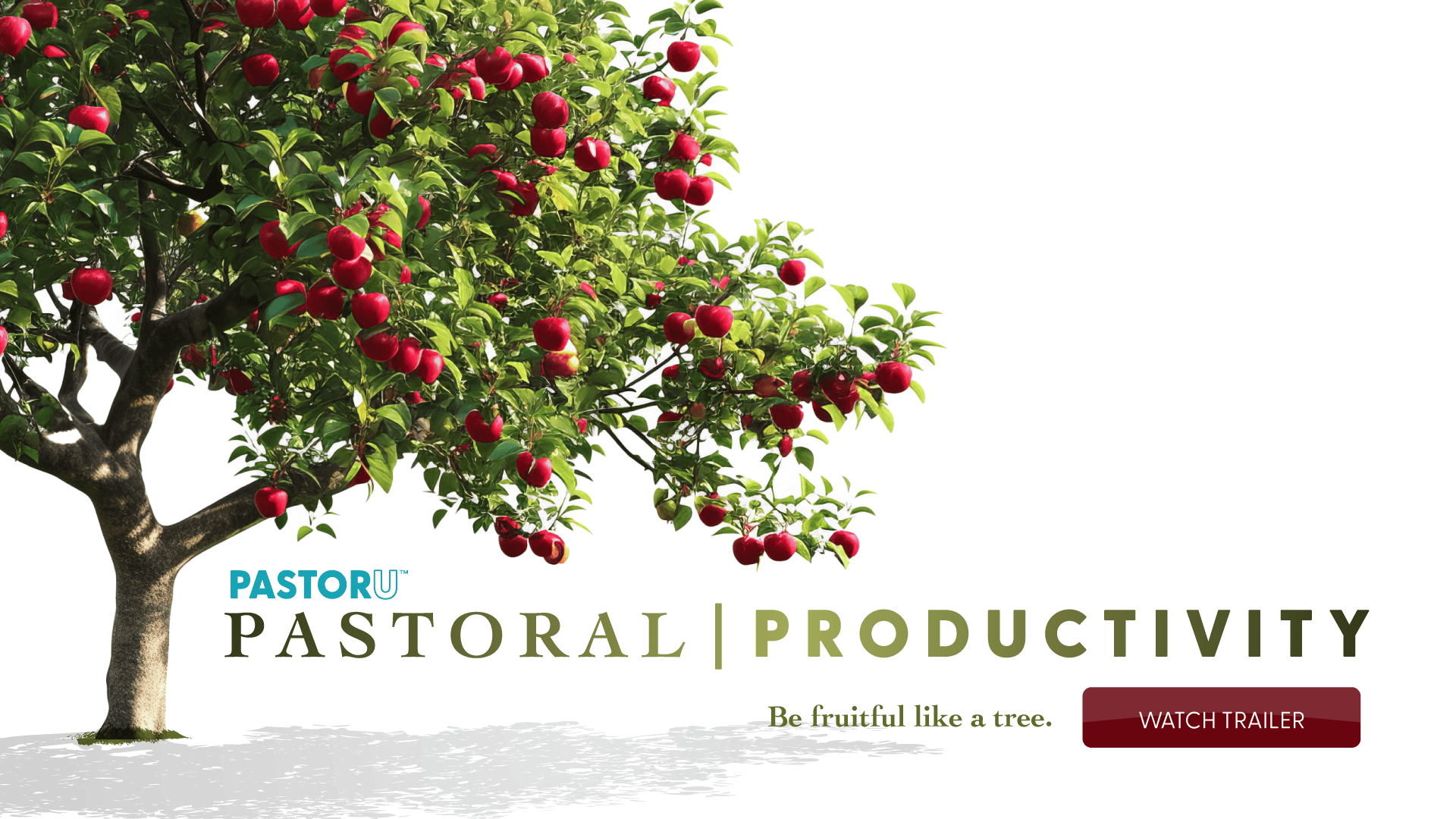 Pastoral Productivity